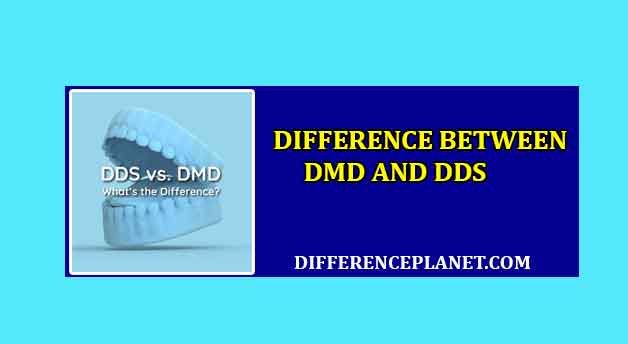 difference between DDS and DMD