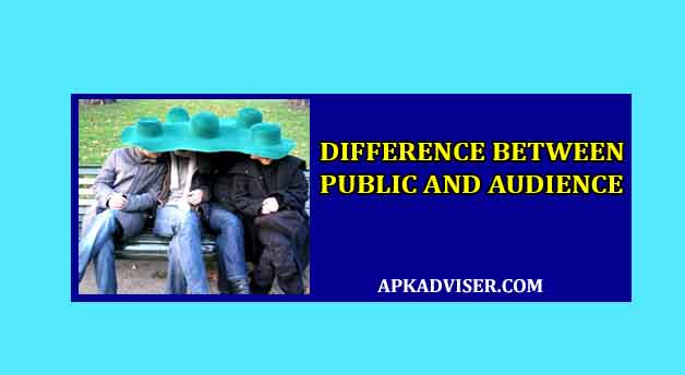 Difference Between Public and Audience