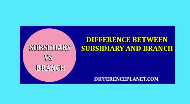 Difference between Subsidiary and Branch