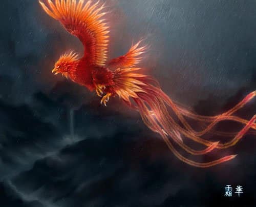 Vermilion Bird Vs Phoenix